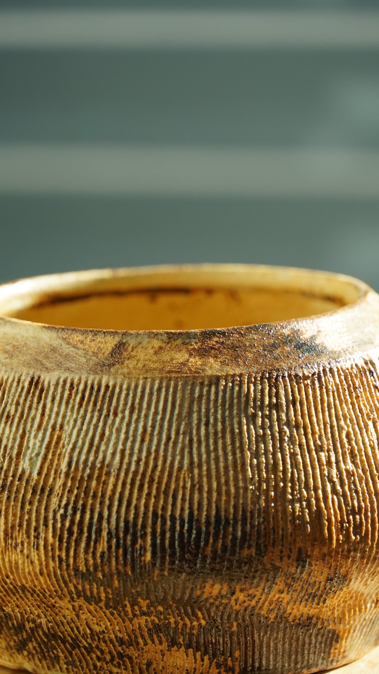 RIPPLE Vessel