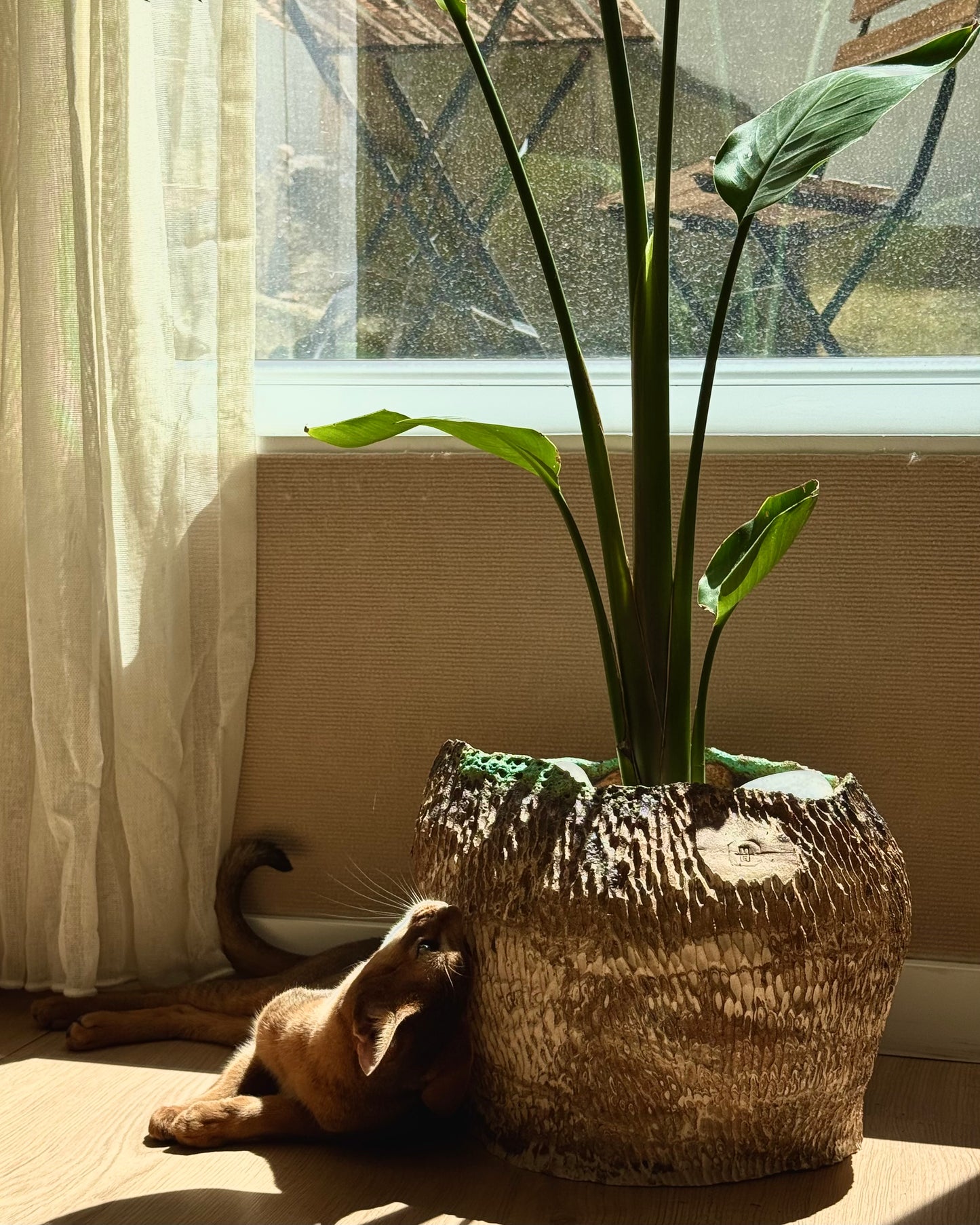 Big Sculptural Planter