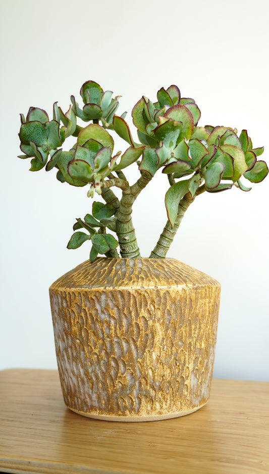 Ceramic Vessel