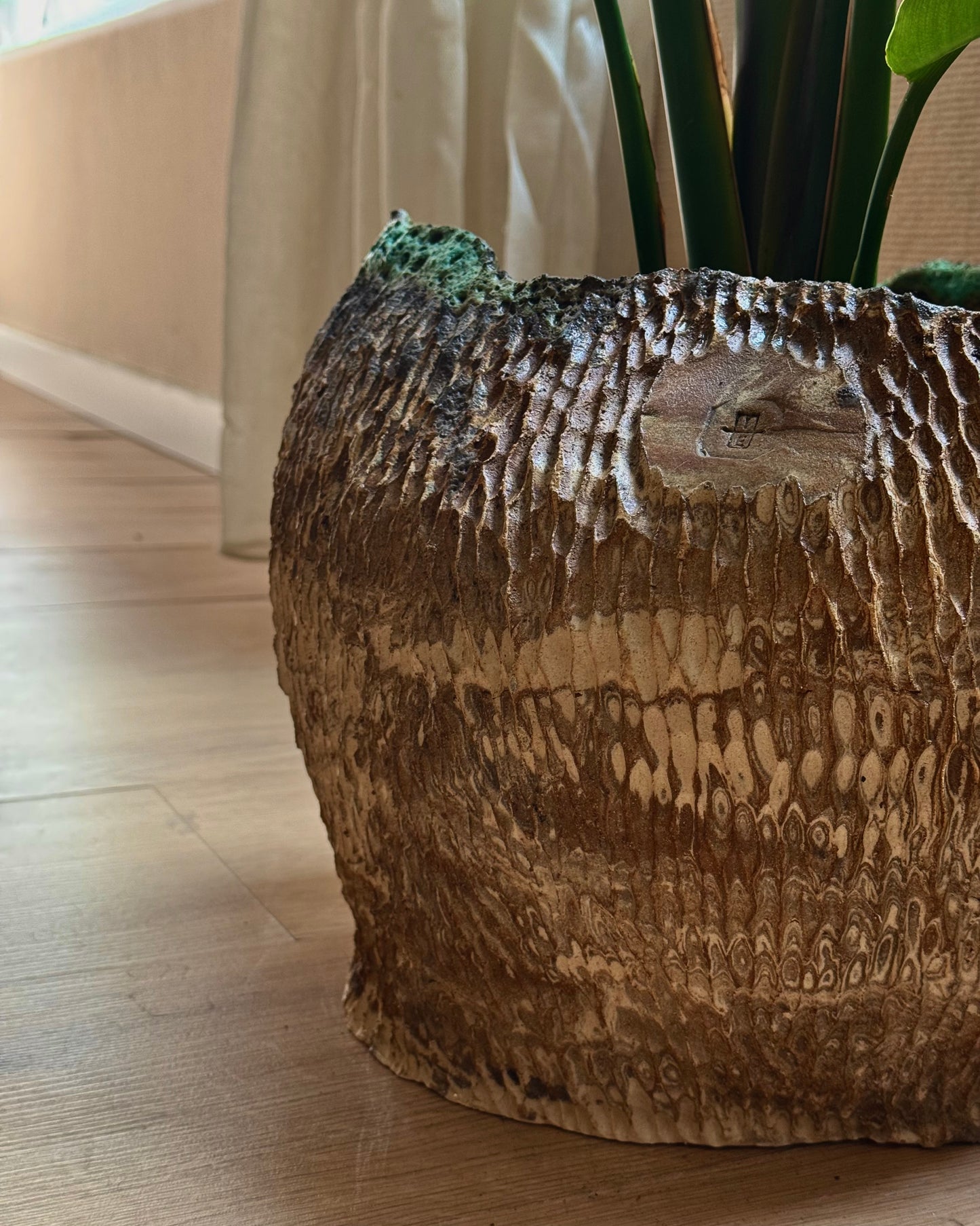 Big Sculptural Planter