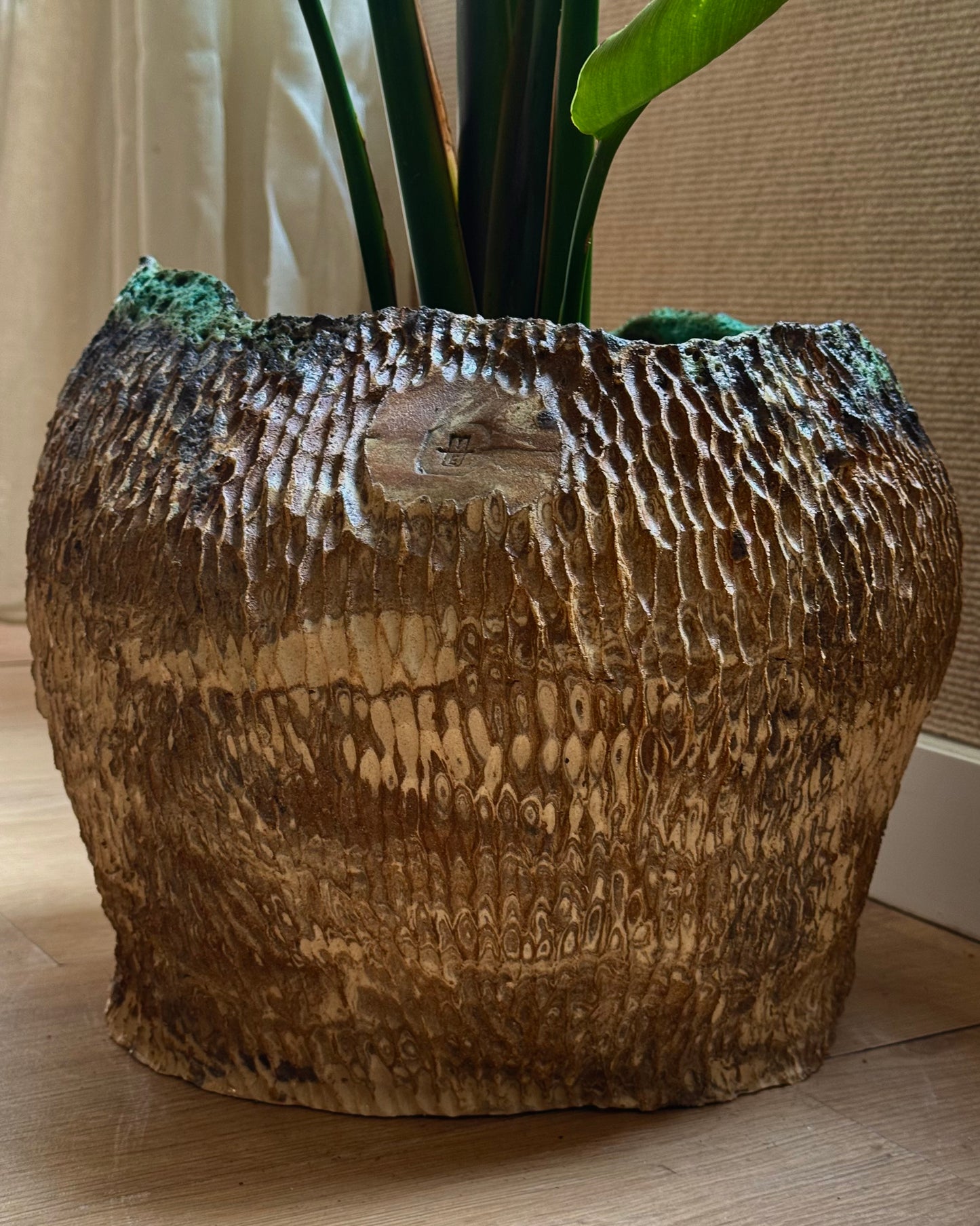 Big Sculptural Planter